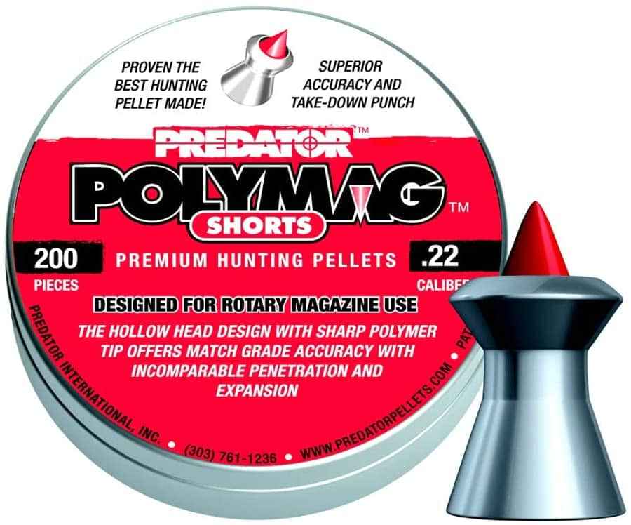 best .22 pellets for hunting